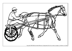 Pferd-6.pdf